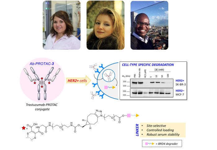 Graphical abstract of the research conducted by Dr María Maneiro, Dr Maria Shchepinova, and Cyrille Koundé
