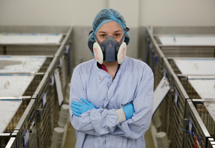 Animal technician in the research facility