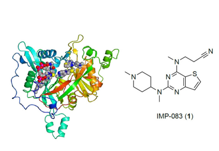 NMT structure and inhibitor