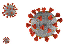 COVID-19 and cancer insights revealed in new European study