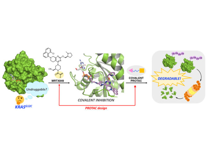 Graphical abstract