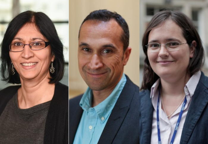 left to right: Dr Deesha Chadha, Professor Nilay Shah, and Professor Charlotte Williams