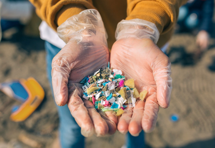 Detail of microplastics collected on a beach