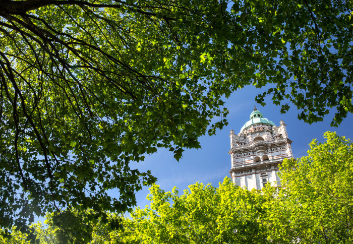 green tree branches around Queen's Tower