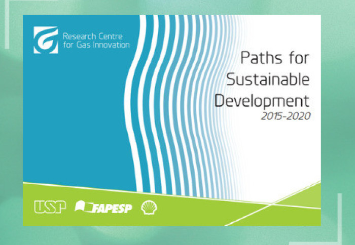 Paths to Sustainable Development