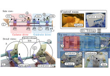 A Novel MR-Safe Endovascular Robotic Platform for Minimally Invasive Surgery