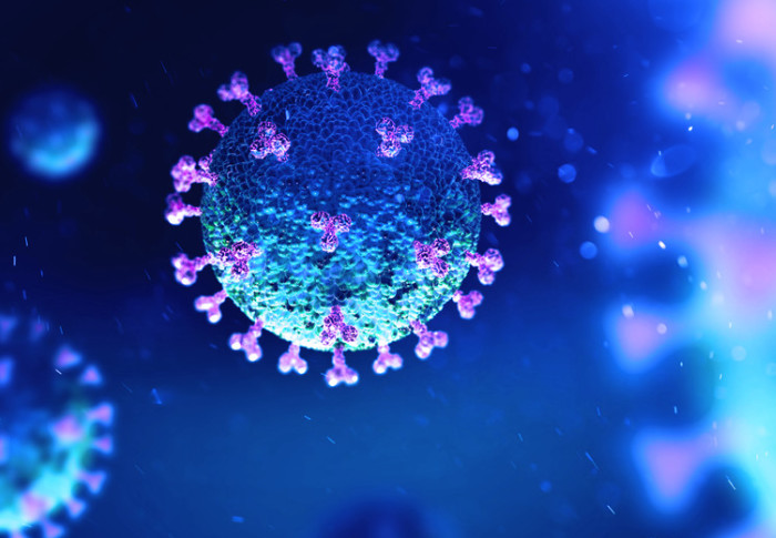 SARS-CoV-2 virus