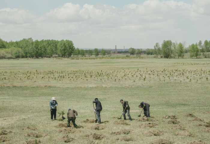 People planting trees in a barren landscape