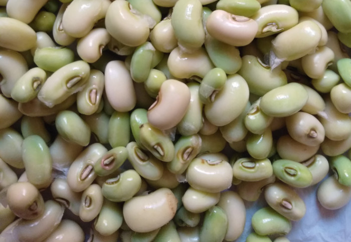 Cowpeas