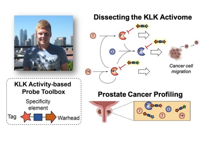 Dr Scott Lovell and dissecting the KLK activome