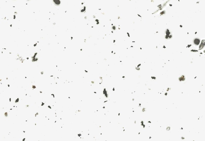 Microscope image showing tiny black particles (lead) against a white background