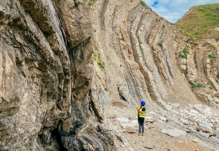 Fieldwork at Dorset