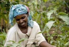 Systems approach is key to food security in Africa 