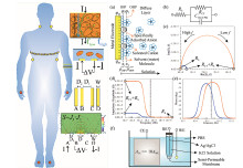 A Tutorial for Bioimpedance Sensors