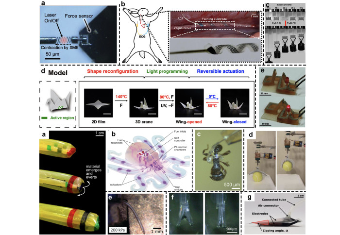 A comparative review of artificial muscles for microsystem applications