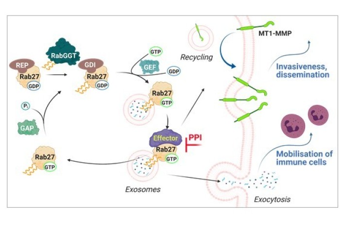 Rab cycle