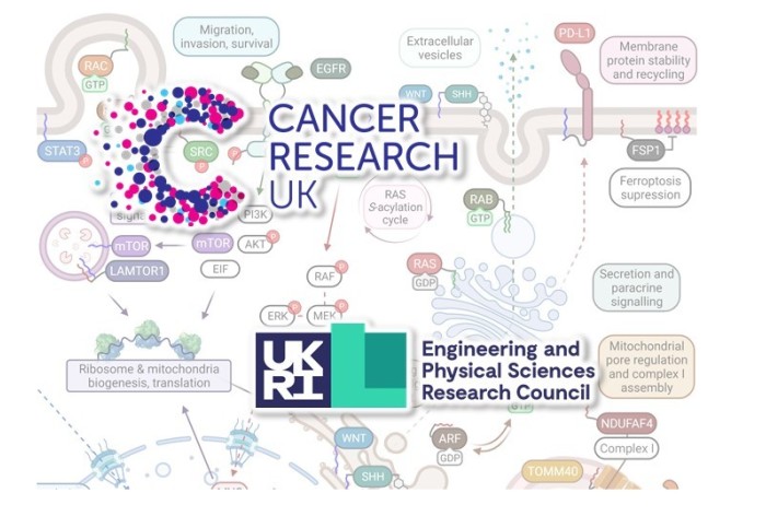 CRUK and EPSRC graphic