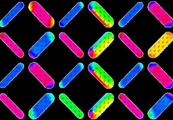 A grid of long ovals containing small arrows pointing in different directions, representing nanomagnets