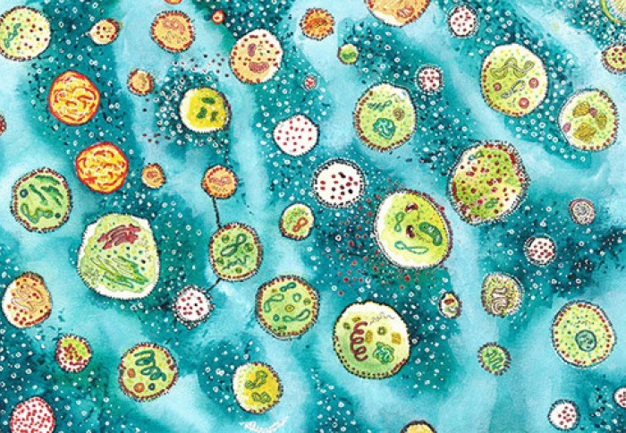 Illustration of green, white and yellow cells on a blue background
