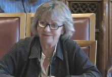 Professor Maggie Dallman gives evidence to House of Lords Committee