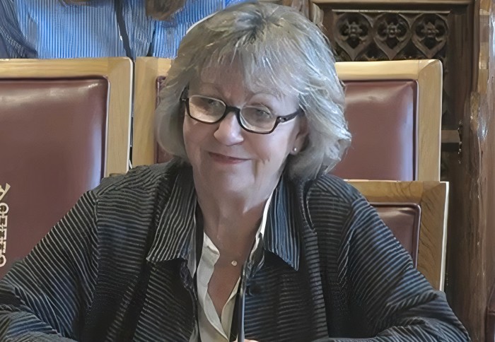 Professor Maggie Dallman appears in front of House of Lords Science and Technology Committee