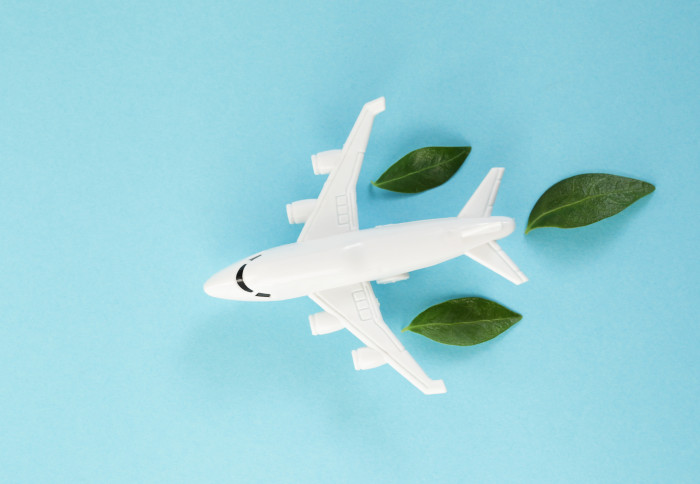 Picture of a model plane viewed from above, with leaves surrounding it.