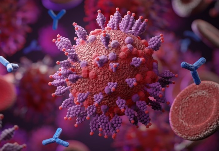 A coronavirus protein