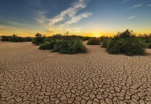 New study investigates the role of climate change in South American drought
