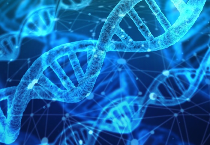 Digital model of DNA
