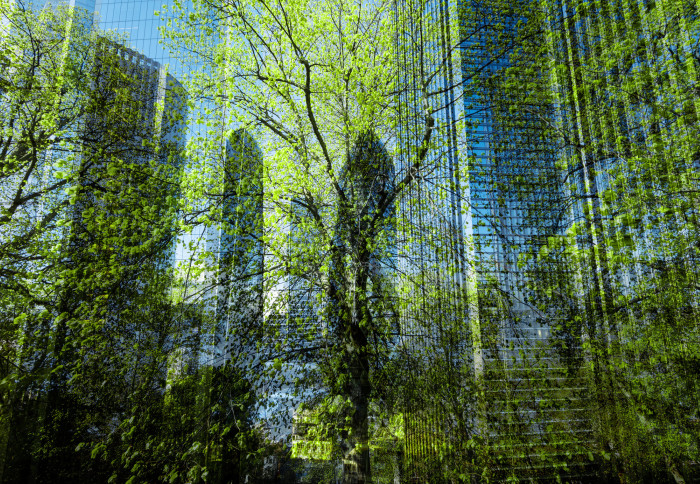Composite of trees and skyscrapers in London financial district