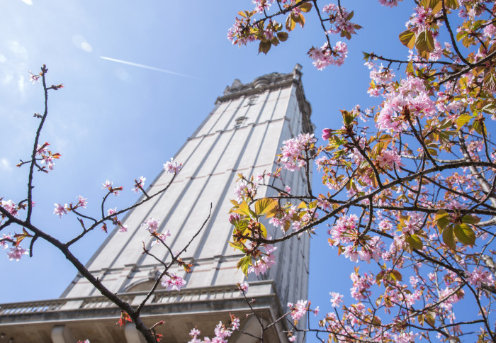 Queens tower in Spring