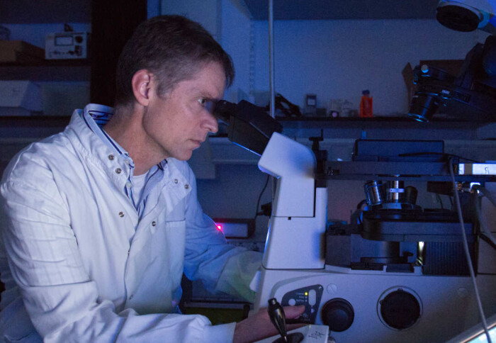 Guy Rutter using a microscope