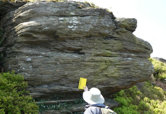 A researcher studying Welsh sandstones.