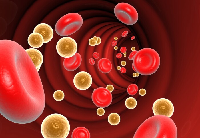 CGI picture of blood cells and cholesterol in the body.
