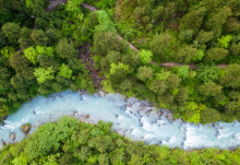 How forests can become more effective ‘natural climate solutions’