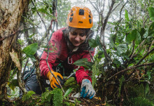 Soils forming on the branches of trees are an overlooked forest habitat