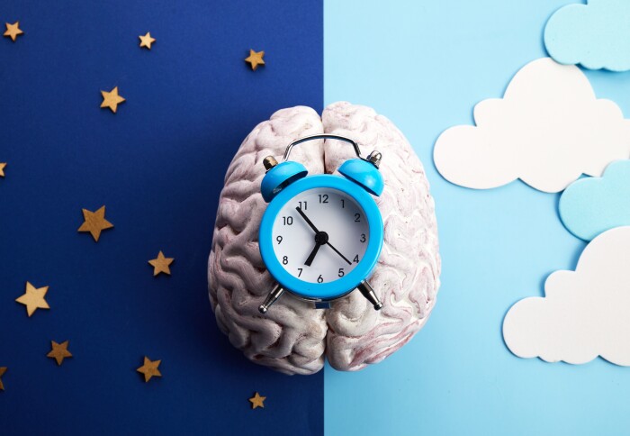 A brain with a clock in the middle and day and night on each side