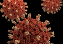 Imperial launches new online courses on virology and vaccinology