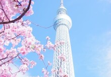 Ever thought about studying/working in Japan?
