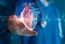 ‘Digital twin’ heart modelling project will monitor patients virtually