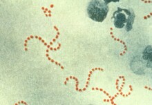 Analysis reveals new insights into global surge of Strep A infections