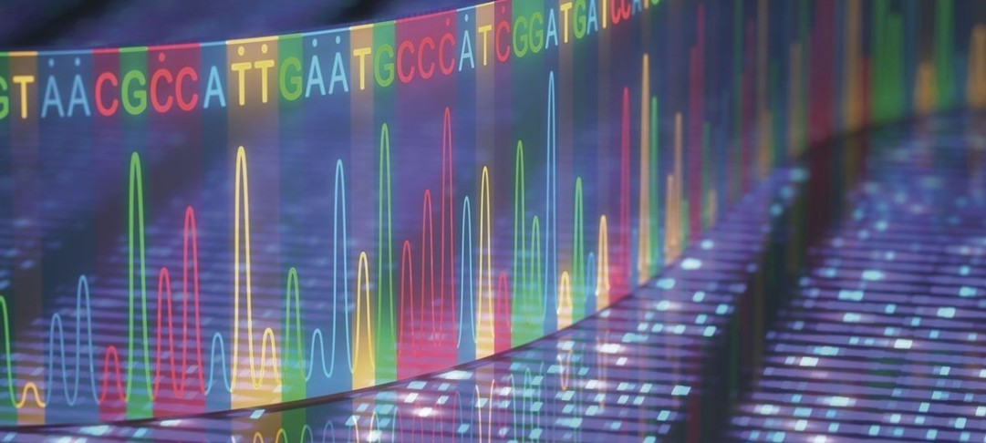 Next Generation Sequencing