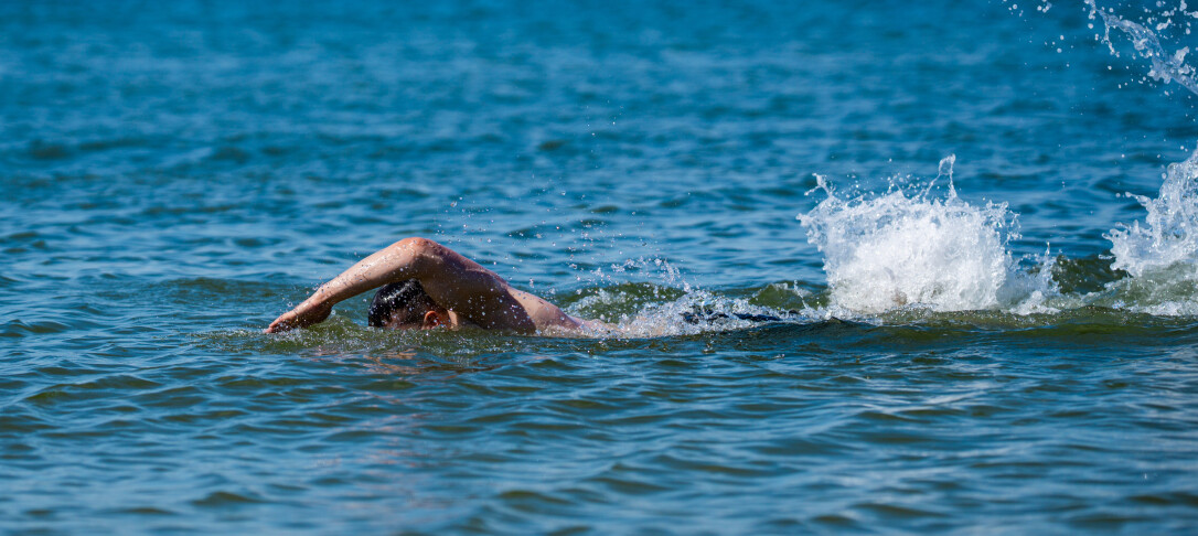 open water swimming