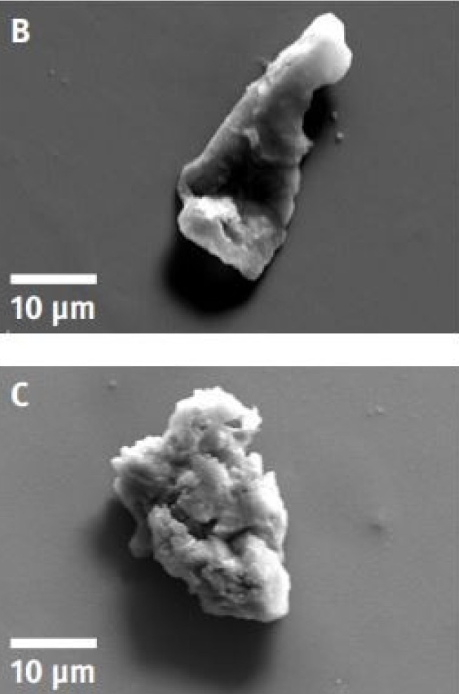 Microscope images of tyre wear particles