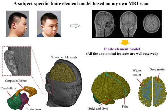 Computational human head model
