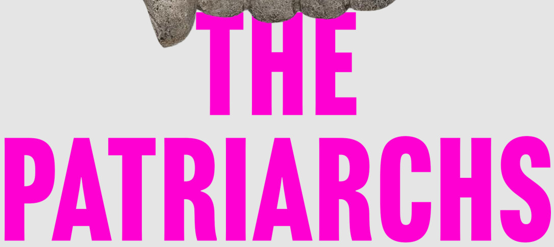 Angela Saini's book The Patriarchs: How Men Came to Rule