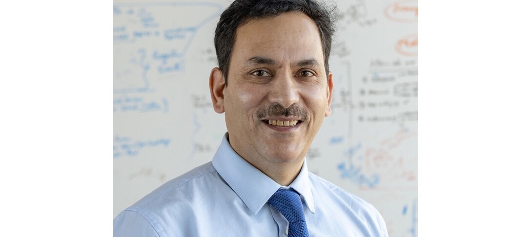 Professor Khalid Shah