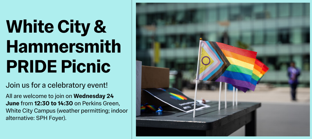 Wwhite City & Hammersmith Pride Picnic text banner with a photo of mini Pride flags flying