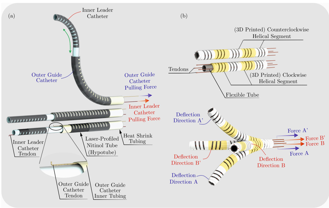 (Robotic) Tendon Driven Catheters for MR-guided interventions (II). (a) Simplest form of concentric or telescopic catheters: the system consists of two uni-directional catheters (inner leader catheter and outer guide catheter) which are controlled independently and collaboratively to recreate the shapes of common selective catheters. (b) Ataollahi et al’s additively manufactured deflectable catheter: The design consists of clockwise and counter-clockwise helical segments employed in an alternating fashion (illustrated in yellow and white). To control the distal end in 3D space, four polymeric tendons were utilised.