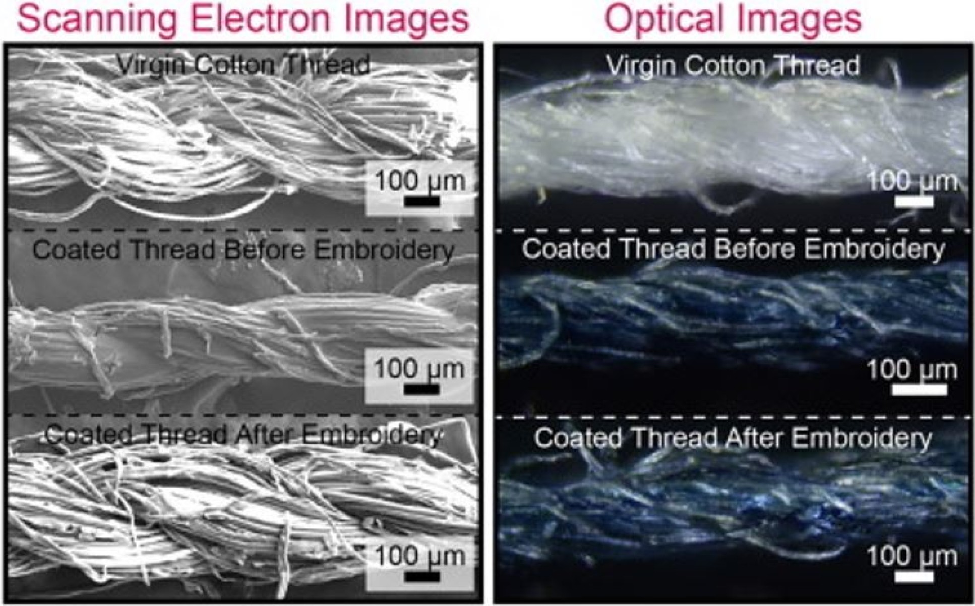 Scanning electron and optical micrographs of a cotton thread, PECOTEX, and PECOTEX after embroidery